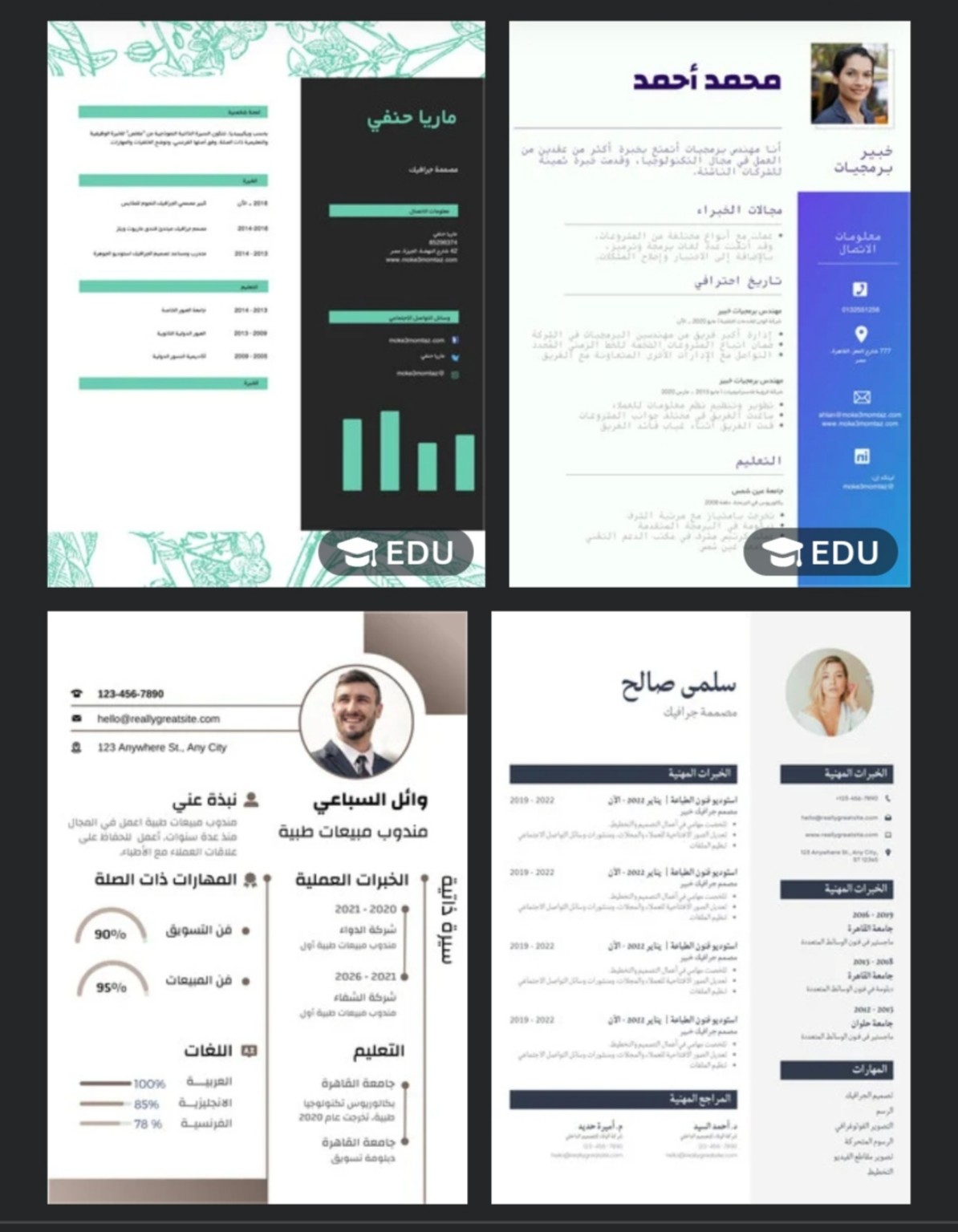 تصميم سيرة ذاتية 2